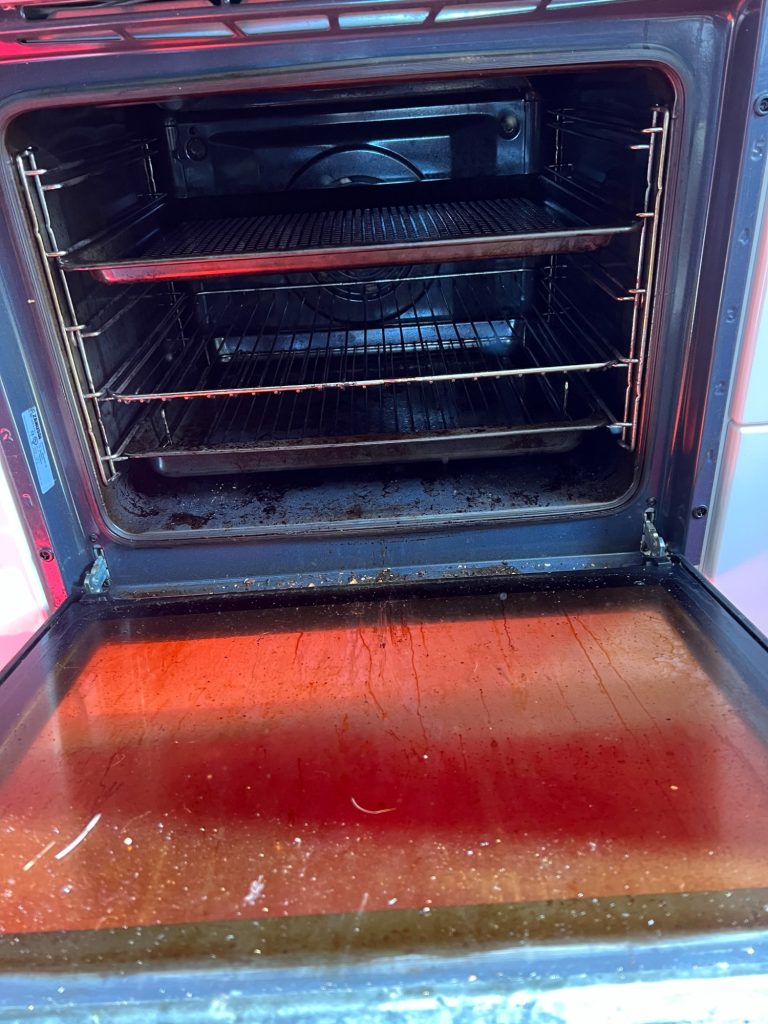 Zanussi single oven before